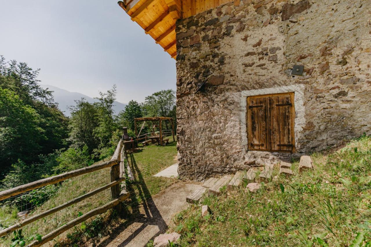 Sant'OrsolaOdomi Maso Nel Bosco别墅 外观 照片
